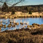 Maisonette - 2 Schlafzimmer - Wohn-küche - Balkon - Hohes Venn - - Eifel - Hunde Willkommen Beim Hof Vierzehnender - Islandpferde Monschau