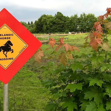 Hof Vierzehnender Im Hohen Venn - 70qm Maisonette - 2 Schlafzimmer - Wohnkueche - Balkon Mit Grill - - Eifel - Hunde Willkommen - Islandpferde