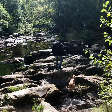 Hof Vierzehnender Im Hohen Venn - 70qm Maisonette - 2 Schlafzimmer - Wohnkueche - Balkon Mit Grill - - Eifel - Hunde Willkommen - Islandpferde * מונשאו