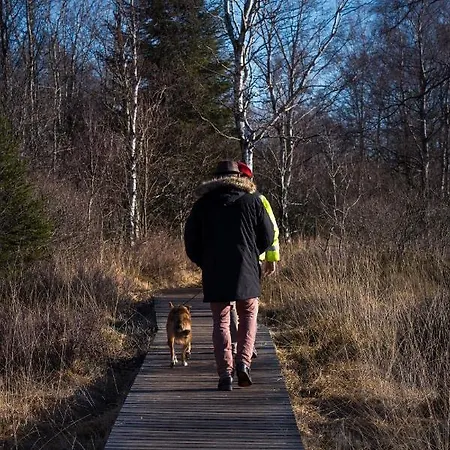 Hof Vierzehnender Im Hohen Venn - 70qm Maisonette - 2 Schlafzimmer - Wohnkueche - Balkon Mit Grill - - Eifel - Hunde Willkommen - Islandpferde מונשאו