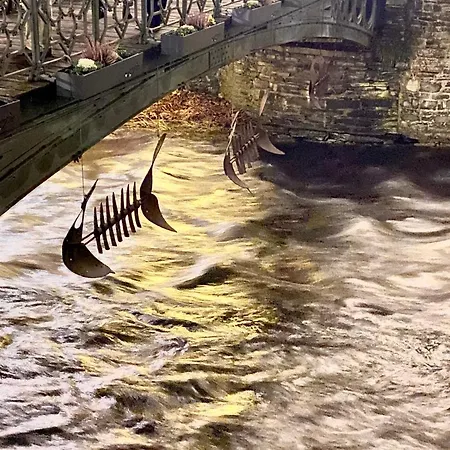 Hof Vierzehnender Im Hohen Venn - 70qm Maisonette - 2 Schlafzimmer - Wohnkueche - Balkon Mit Grill - - Eifel - Hunde Willkommen - Islandpferde *