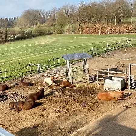 Apartman Hof Vierzehnender Im Hohen Venn - 70qm Maisonette - 2 Schlafzimmer - Wohnkueche - Balkon Mit Grill - - Eifel - Hunde Willkommen - Islandpferde *