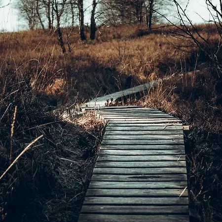 Apartman Hof Vierzehnender Im Hohen Venn - 70qm Maisonette - 2 Schlafzimmer - Wohnkueche - Balkon Mit Grill - - Eifel - Hunde Willkommen - Islandpferde Monschau