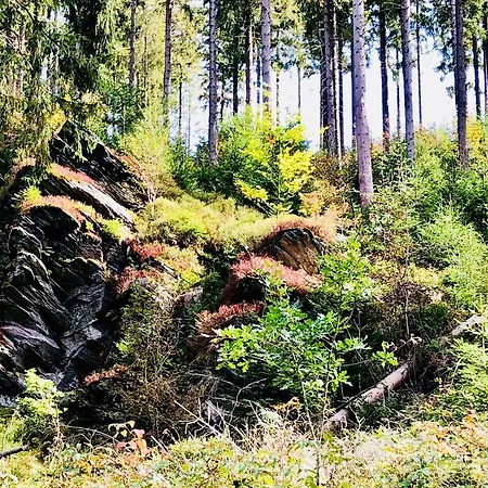 Hof Vierzehnender Im Hohen Venn - 70qm Maisonette - 2 Schlafzimmer - Wohnkueche - Balkon Mit Grill - - Eifel - Hunde Willkommen - Islandpferde * Monschau
