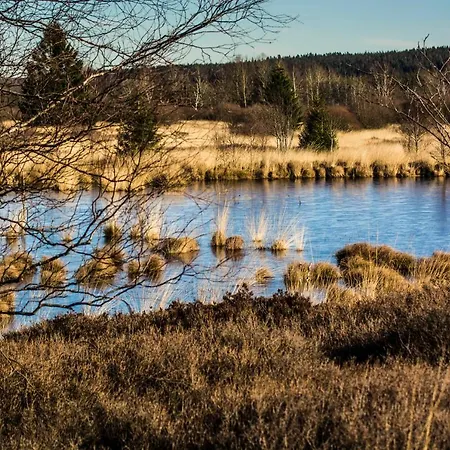 Hof Vierzehnender Im Hohen Venn - 70qm Maisonette - 2 Schlafzimmer - Wohnkueche - Balkon Mit Grill - - Eifel - Hunde Willkommen - Islandpferde Monschau