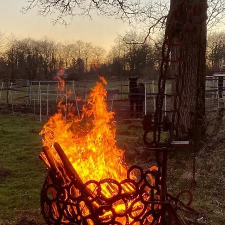 Hof Vierzehnender Im Hohen Venn - 70qm Maisonette - 2 Schlafzimmer - Wohnkueche - Balkon Mit Grill - - Eifel - Hunde Willkommen - Islandpferde *