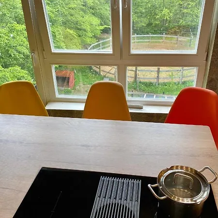 Apartman Hof Vierzehnender Im Hohen Venn - 70qm Maisonette - 2 Schlafzimmer - Wohnkueche - Balkon Mit Grill - - Eifel - Hunde Willkommen - Islandpferde