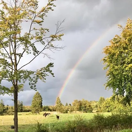 דירה Hof Vierzehnender Im Hohen Venn - 70qm Maisonette - 2 Schlafzimmer - Wohnkueche - Balkon Mit Grill - - Eifel - Hunde Willkommen - Islandpferde