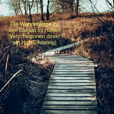 Hof Vierzehnender Im Hohen Venn - 70qm Maisonette - 2 Schlafzimmer - Wohnkueche - Balkon Mit Grill - - Eifel - Hunde Willkommen - Islandpferde דירה