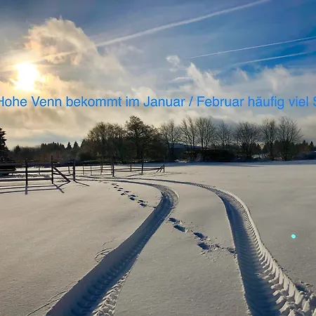 Hof Vierzehnender Im Hohen Venn - 70qm Maisonette - 2 Schlafzimmer - Wohnkueche - Balkon Mit Grill - - Eifel - Hunde Willkommen - Islandpferde