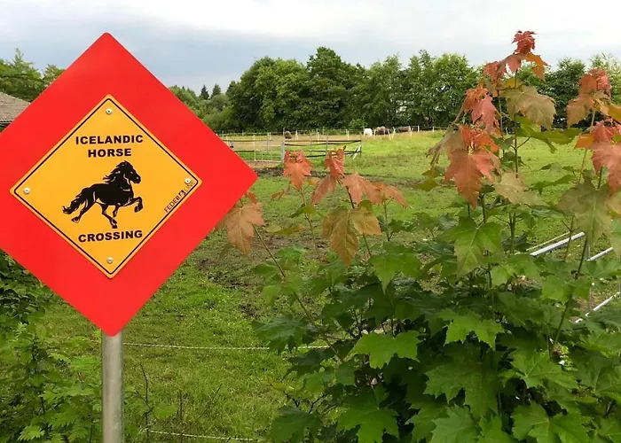 Hof Vierzehnender Im Hohen Venn - 70qm Maisonette - 2 Schlafzimmer - Wohnkueche - Balkon Mit Grill - - Eifel - Hunde Willkommen - Islandpferde