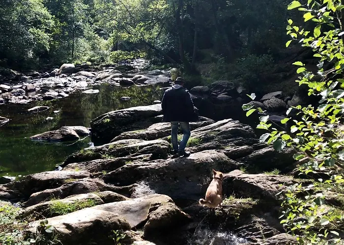 Hof Vierzehnender Im Hohen Venn - 70qm Maisonette - 2 Schlafzimmer - Wohnkueche - Balkon Mit Grill - - Eifel - Hunde Willkommen - Islandpferde * Monschau