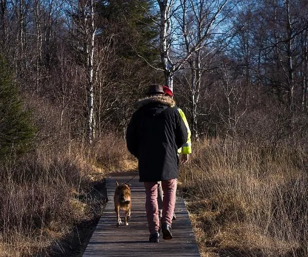 Hof Vierzehnender Im Hohen Venn - 70qm Maisonette - 2 Schlafzimmer - Wohnkueche - Balkon Mit Grill - - Eifel - Hunde Willkommen - Islandpferde Моншау