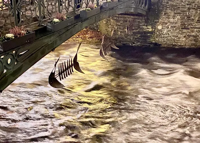 Hof Vierzehnender Im Hohen Venn - 70qm Maisonette - 2 Schlafzimmer - Wohnkueche - Balkon Mit Grill - - Eifel - Hunde Willkommen - Islandpferde *