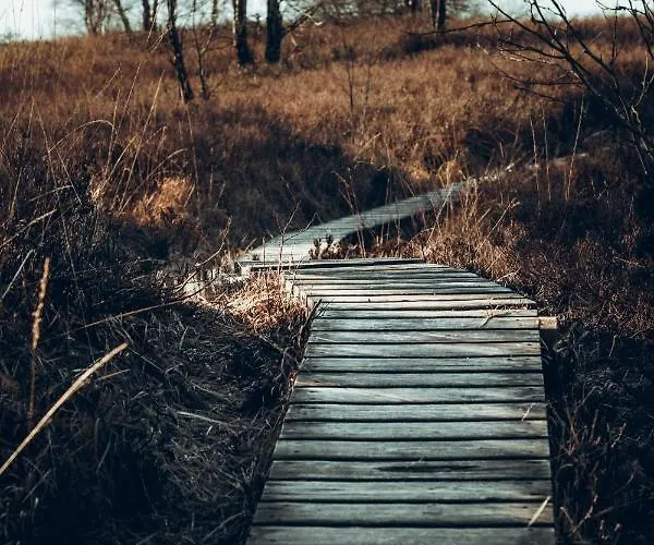 Апартаменты Hof Vierzehnender Im Hohen Venn - 70qm Maisonette - 2 Schlafzimmer - Wohnkueche - Balkon Mit Grill - - Eifel - Hunde Willkommen - Islandpferde Моншау