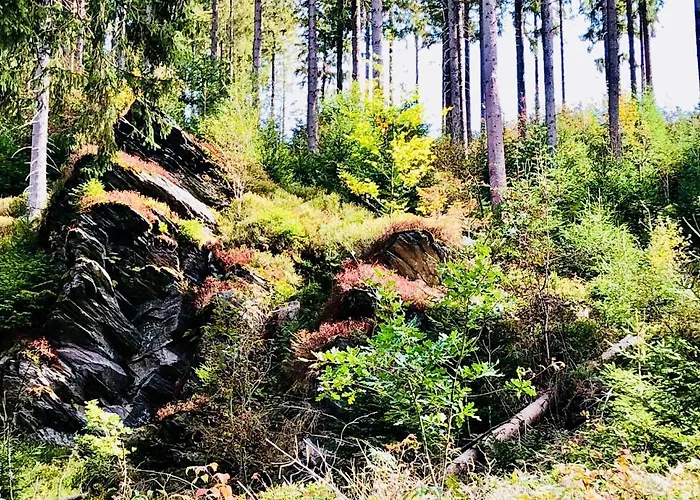 Hof Vierzehnender Im Hohen Venn - 70qm Maisonette - 2 Schlafzimmer - Wohnkueche - Balkon Mit Grill - - Eifel - Hunde Willkommen - Islandpferde * Моншау