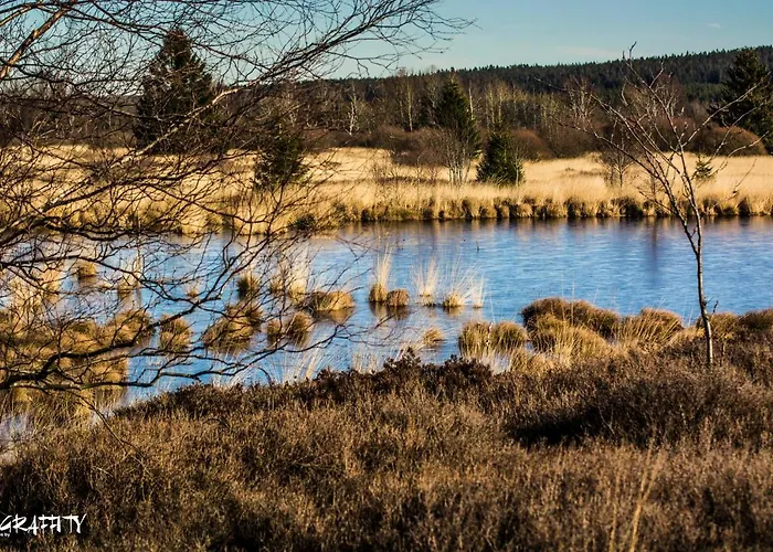 Maisonette - 2 Schlafzimmer - Wohn-küche - Balkon - Hohes Venn - - Eifel - Hunde Willkommen Beim Hof Vierzehnender - Islandpferde Monschau