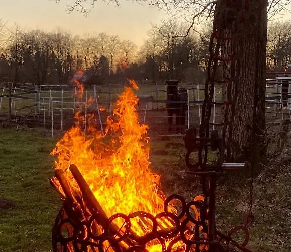 Hof Vierzehnender Im Hohen Venn - 70qm Maisonette - 2 Schlafzimmer - Wohnkueche - Balkon Mit Grill - - Eifel - Hunde Willkommen - Islandpferde *