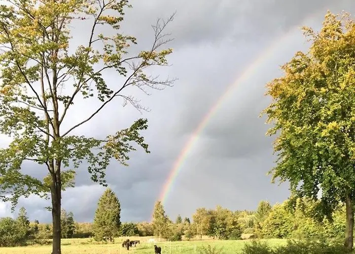 Appartamento Hof Vierzehnender Im Hohen Venn - 70qm Maisonette - 2 Schlafzimmer - Wohnkueche - Balkon Mit Grill - - Eifel - Hunde Willkommen - Islandpferde