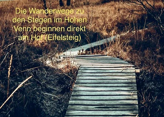 Hof Vierzehnender Im Hohen Venn - 70qm Maisonette - 2 Schlafzimmer - Wohnkueche - Balkon Mit Grill - - Eifel - Hunde Willkommen - Islandpferde Апартаменты