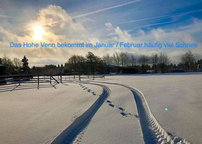 Hof Vierzehnender Im Hohen Venn - 70qm Maisonette - 2 Schlafzimmer - Wohnkueche - Balkon Mit Grill - - Eifel - Hunde Willkommen - Islandpferde