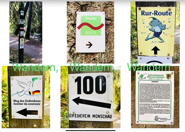 Hof Vierzehnender Im Hohen Venn - 70qm Maisonette - 2 Schlafzimmer - Wohnkueche - Balkon Mit Grill - - Eifel - Hunde Willkommen - Islandpferde Appartamento